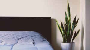 Bamboo bed sheets with plant