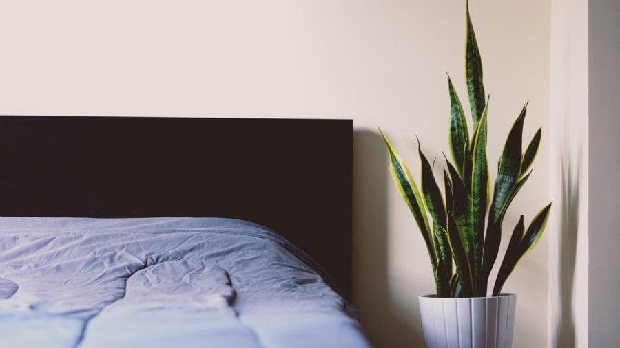 Should I Get Bamboo Sheets? 9 Reasons to Switch