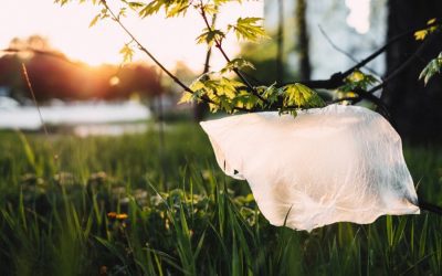60 Creative Ways to Reuse Plastic Bags