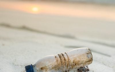 Why We Should Reduce the Use of Plastic