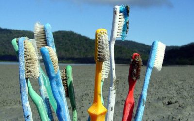Why You Should Switch to a Bamboo Toothbrush