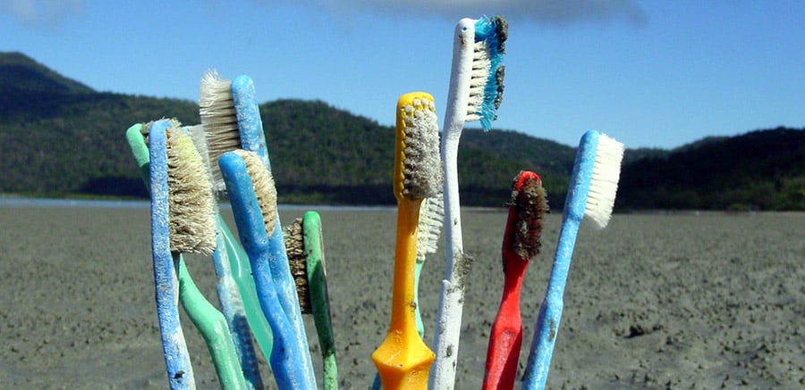 switch to sustainable toothbrush