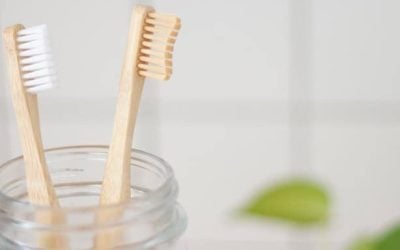 Top 8 Best Bamboo Toothbrushes
