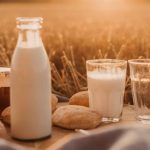 Top 6 Best Hemp Milk on the Market (Plus Powders!)