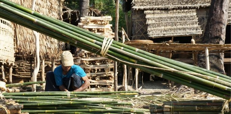 Man wrapping bamboo plants