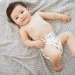 Are Diapers Biodegradable?