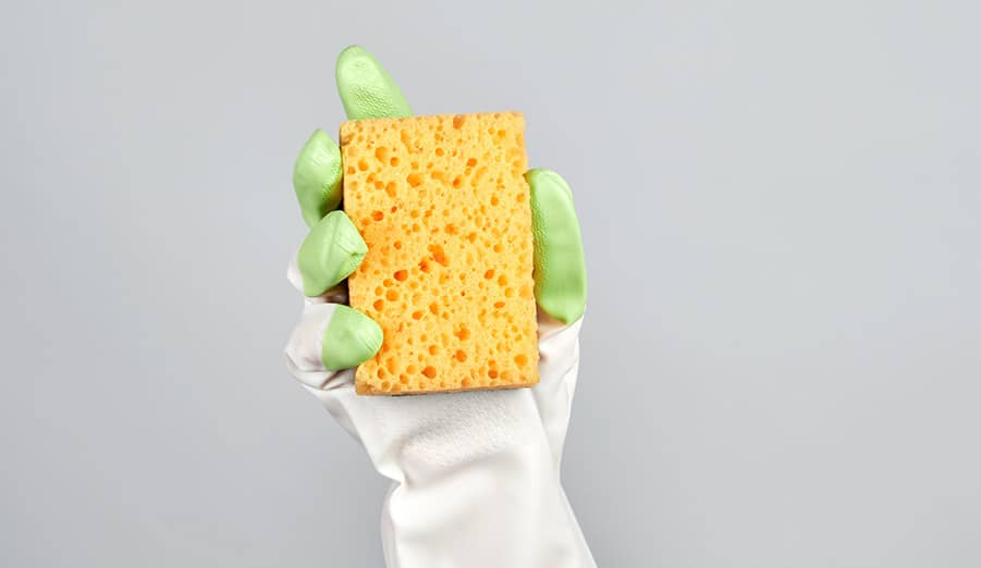 gloved hand holding yellow sponge