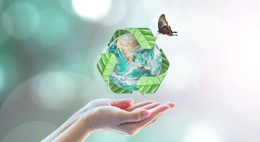 sustainable earth